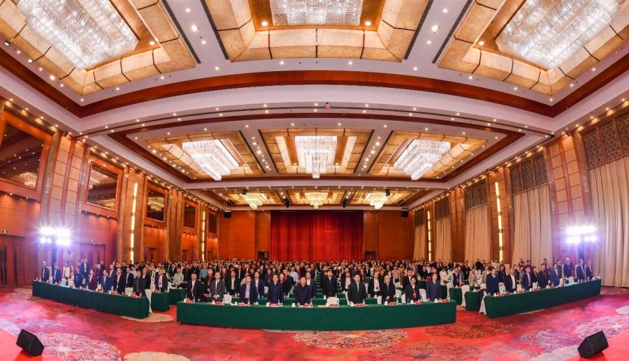 1770625114654869aIdR.jpg 01.jpg